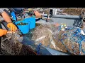 COMMERCIAL GILL NET FISHING - Bass Bream Pollock Mackerel Wrasse Start Of Gill Net Season