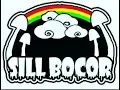 Download Lagu Sill Bocor - Sering Bertemu (Lyrics)