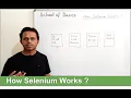 School Of Basics Selenium interview questions How Selenium Works Selenium Architecture
