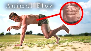 I Did Animal Flow - For 1 Month