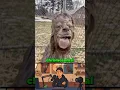 Animals With Down Syndrome