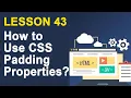 How to Use CSS Padding Properties CSS Tutorial for Beginners Lesson 43
