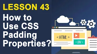 How to Use CSS Padding Properties CSS Tutorial for Beginners Lesson 43