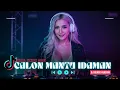 Download Lagu DJ CALON MANTU IDAMAN – AKU CALON MANTU TERBAIK MAMAMU | DJ REMIX VIRAL TIKTOK 2025