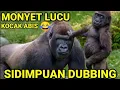 SIDIMPUAN DUBBING KOCAK ABIS 2020