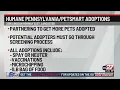 Humane Pennsylvania PetSmart partner for adoptions