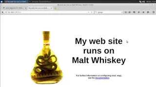 mod - wsgi-express on Ubuntu server with python bottle tutorial