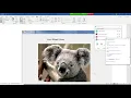 Visual Basic programming creates variables