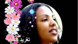 مصطفى سيد احمد كان نفسى اقولك من زمان تغريد محمد 