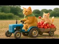 Download Lagu Mama Cat \u0026 Kittens Harvest Apples \u0026 Makes Tiger Hat For Kittens At Home🐾🧶🎩