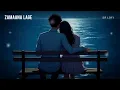 Zamaana Lage (Slowed + Reverb) | Arijit Singh, Shashwat Singh | Metro…In Dino | SR Lofi