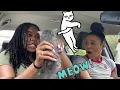 Getting a cat off Craigslist Quarantine in Atlanta Vlog