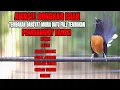 Download Lagu MASTERAN GACOR MURAI ISIAN CILILIN KENARI KAPAS TEMBAK CUCAK JENGGOT 100% BIKIN LAWAN IKUT GACOR