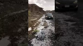 برد وسيول طريق السيل الكبير بالطائف والغنم سحبها السيل الآن 