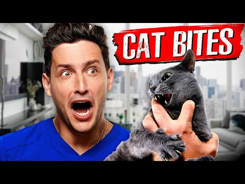 Download MP3 Why Cat Bites Are So Dangerous | RTC 35