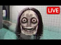 Download Lagu Playing the New Update for The Classrooms - LIVE 🔴