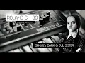Lagu Roland SH-09 the SH-101's Dark Sister | CONFORCE