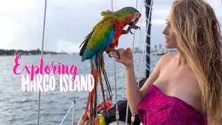 Sailing to Marco Island | SMLS S11E18