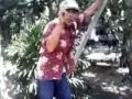 Lagu DIAN NADA MUSIK, KAWIN KREDIT VOC  Agus