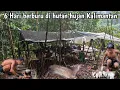 6 hari berpetualang berburu di hutan hujan Kalimantan 