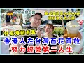 Lagu 【移台生活】港人在台百花齊放，努力經營第二人生。台灣人超欣賞港式菊花茶，大賣幾多杯？ 華山好友港節巿集，60多攤港式美食手作。