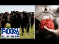 GOT BEEF Justice Dept opens probe into rising beef prices Report