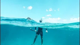 SHARKS Stole Our Fish! Spearfishing Around St Kitts & Nevis ~ Vlog #31