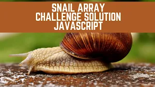 Snail Array Challenge Solution JavaScript Day 5 of 365 Days of Coding JavaScript Challenge 5