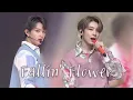 Download Lagu SEVENTEEN - 「Fallin' Flower」 |  210427 JAPAN FANMEETING HARE