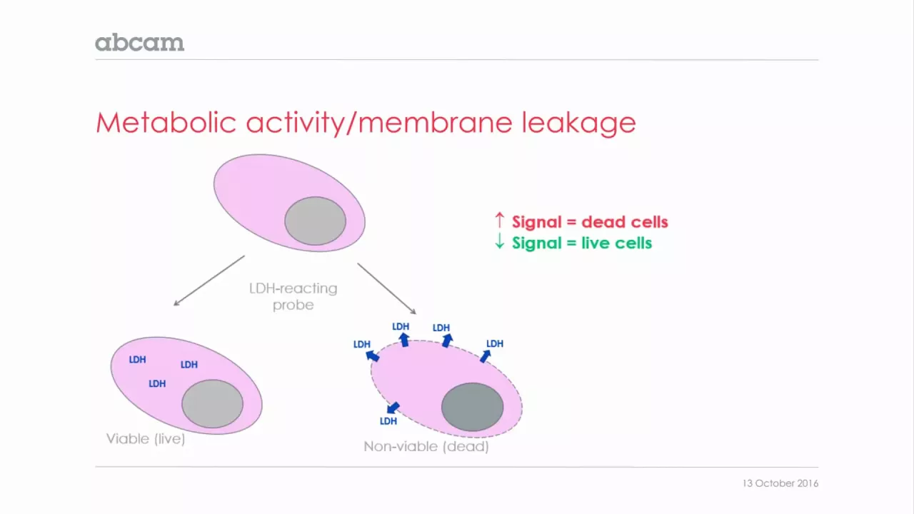 Are your cells alive dead or just resting 1 of 3 take 1