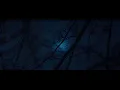 Il est 4h du matin et tu tombes sur cette vidéo.