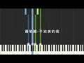蕭敬騰 Jam Hsiao 不完美的我 電影 跟你老婆去旅行 主題曲 鋼琴教學 Synthesia 琴譜