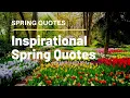 Spring Quotes 2020 Inspirational Spring Quotes