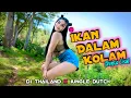 Download Lagu DJ Ikan Dalam Kolam - Shinta Gisul ( Official M/V )
