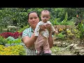 Download Lagu How to Make Soft and Spongy Donuts at Home  - go to market sell , Pig Care | Lý Thị Ca