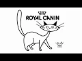 Royal Canin Vet Diet Calm Case Study