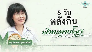  ฟ้าทะลายโจรช่วยรักษาอาการป่วยจากไวรัสได้จริงหรือไม่ และมีข้อควรระวังอะไรบ้าง 