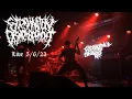 Lagu Extermination Dismemberment - \