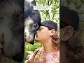 Download Lagu De mens en zijn beste wolvenvrienden