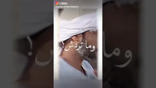 ابعد عن الشر و غنيله حلات واتس  ابعد عن الشر و غنيله حلات واتس