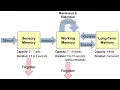 MODULE 10 INFORMATION PROCESSING