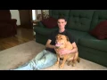 Lou Maglio the dog