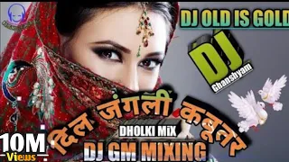  dil junglee kabootar dj love song dj gm mixing