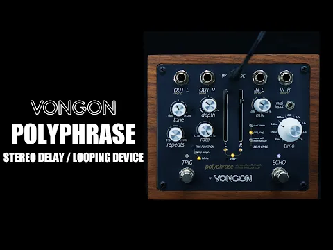 Vongon Polyphrase Stereo Echo | Delicious Audio