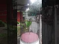 Download Lagu ini dia tembakan yuhina yg paling di cari. full besetan tajam!