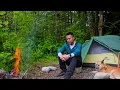 Download Lagu Wild Camping in the Forest with my Dog \u0026 Cooking on Campfire