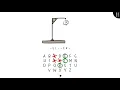 Python Basics Project Assignment How To Create Hangman in under 10 minutes