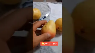 شعب مهبلول شوف شوف 
