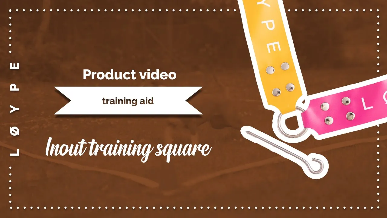 Inout Training Square