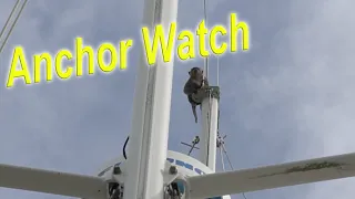 The Anchor Watch / Tips On Tuesday